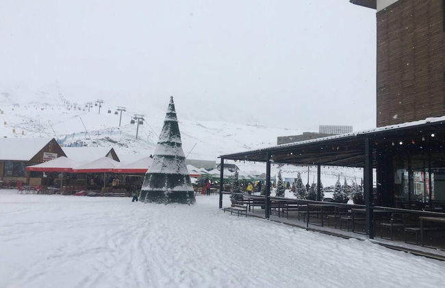 Impeccable 1-bed Apartment in Gudauri - Foto 25