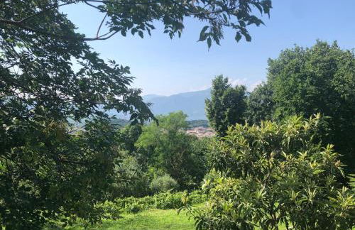 Oasi Franciacorta - Foto 28