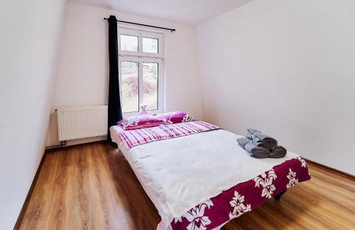 Domki Nad Stawami Apartament - Foto 12