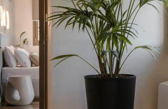 APARKTION The Grand Maistro - Photo 7