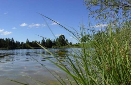 Opas Bergchalet - Foto 70