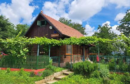 Kokotova hiža - Photo 56
