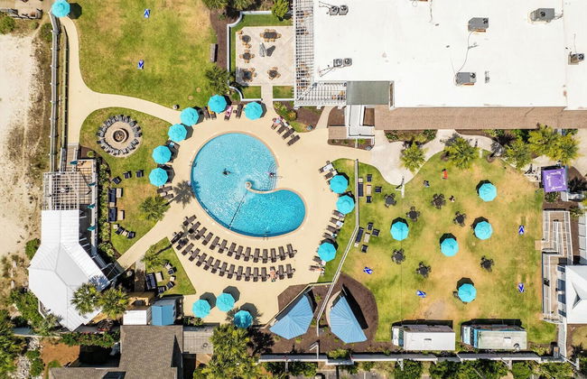 716 Swordfish - Foto 25