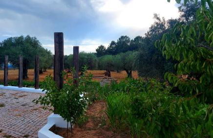 Quinta Lameira do Vale - Photo 16