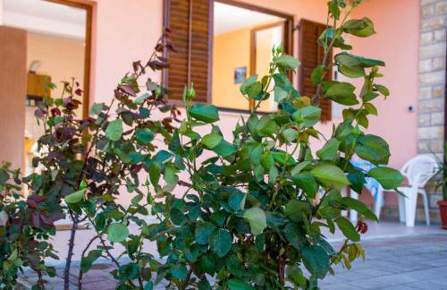 Apartmani A.Teskera - Foto 26