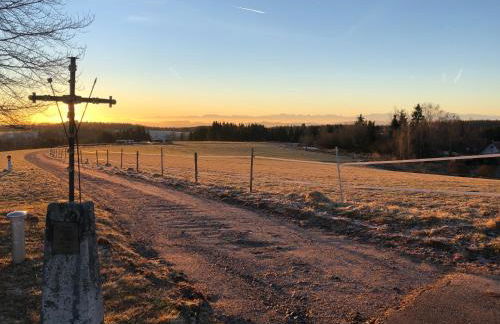 Pfaffensteghof - Foto 17