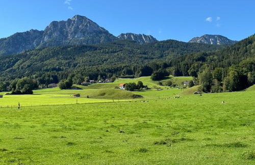 Haus Vogl Anger - Ferienwohnungen mit privater Sauna und beheizten Salzwasser Pool in Panoramalage und Nähe zu Salzburg und Berchtesgaden - Foto 71
