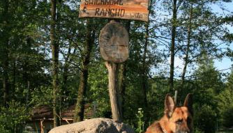 Świerkowe Rancho - Foto 3