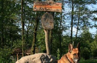 Świerkowe Rancho - Foto 3