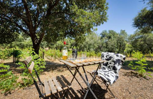 Charming Milk Barn Home on Vineyard Estate - Foto 27