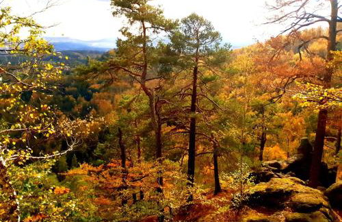 Michałówka Michaelhof - Foto 61