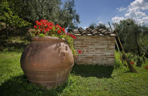 Agriturismo Il Sambuco - Foto 85