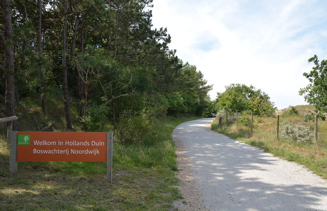 Lovely Home in Noordwijkerhout near Sea Beach - Foto 26