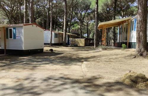 Mipro Mobilhome 5 - Foto 7