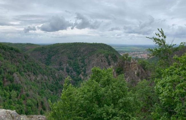 Fenced Garden, Friedrichsbrunn - Photo 42