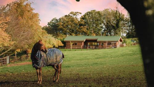 Hunters Lodge - Foto 2