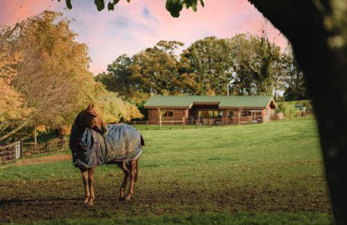 Hunters Lodge - Photo 2