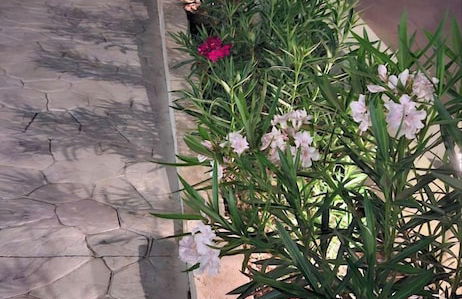 AIR IN ROOMS - Foto 1