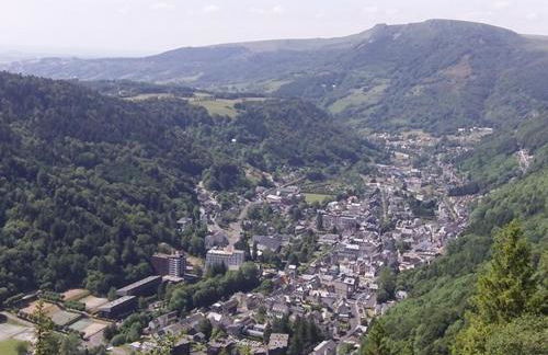 Confortable F2 bis avec balcon au pied des pistes et parking, Mont-Dore - FR-1-415-170 - Foto 13