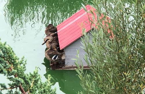 VIP Appartement - Foto 46