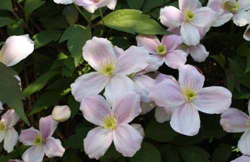 Die Stadtwohnung - Foto 35