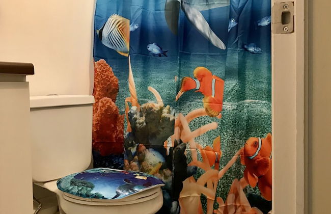 Cosmopolita - Foto 69