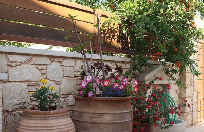 Helianthus - Foto 21