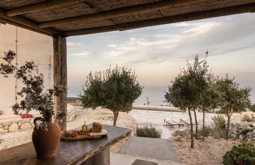 Anemomilos - Foto 31