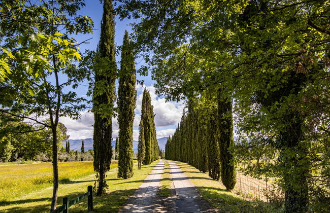 La Torre + Fienile + Casa Prato - Foto 69