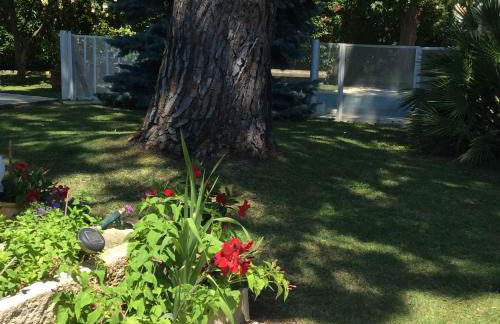 VILLA MIREILLE CALME ARBOREE PISCINE SANS VIS A VIS SECURISEE - Foto 9