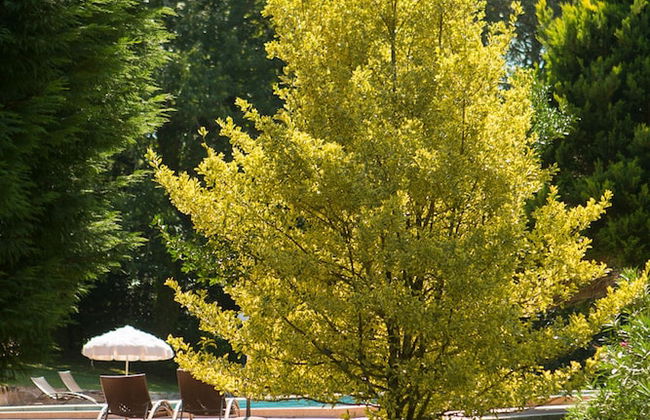 Rusticae Casa A Pedreira - Photo 44