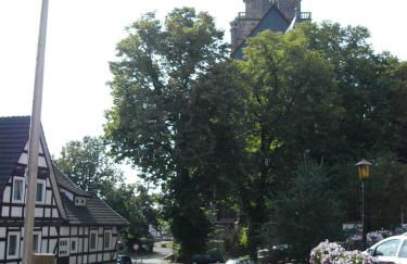 Haus Luise - Foto 23