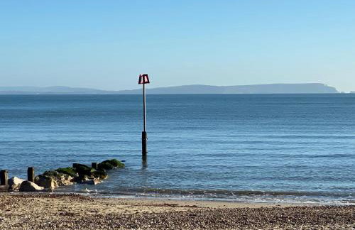 Kittiwake - Foto 29
