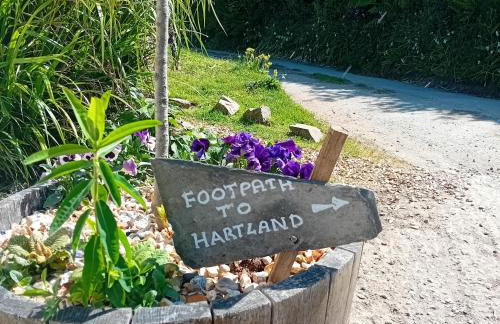 stayinhartland Quincecote shepherds hut - Foto 13