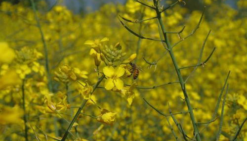 Fienile Paradiso Home Tuscany - Foto 2