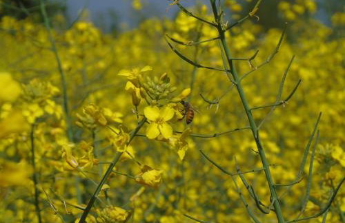 Fienile Paradiso Home Tuscany - Foto 3