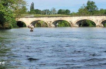 Le Cerf au Bois Dormant - Foto 26