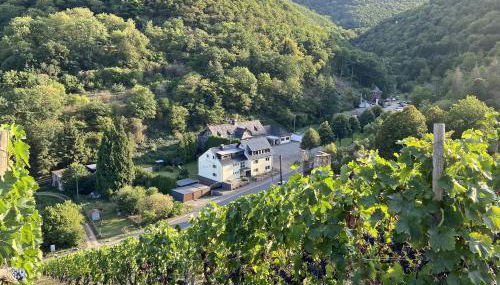 Roosartige Ferien - Ferienwohnung am Weiherturm - Foto 2