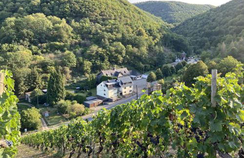 Roosartige Ferien - Ferienwohnung am Weiherturm - Photo 2
