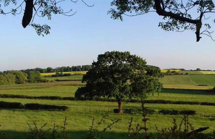 3 Bed in Dronfield oc-dcelle - Foto 6