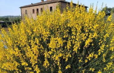 Il Casone - villa con piscina - Foto 6