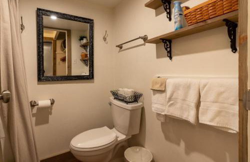 Brettelberg Slopeside Condos F7 - Foto 10