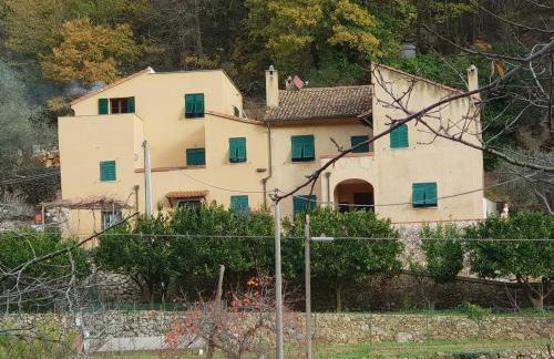 Agriturismo Alveare - Foto 43