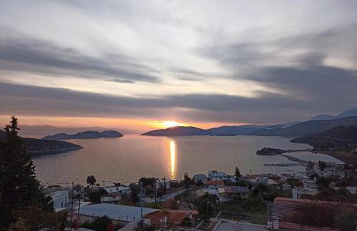 Thetis Apartment - Photo 8