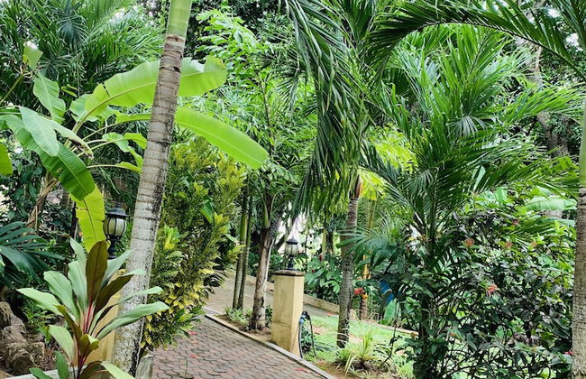 OSoleil Guesthouse - Foto 49