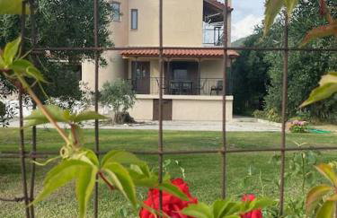 Κάμπος - Foto 4