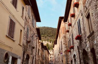 Palazzo Elisei - Photo 41