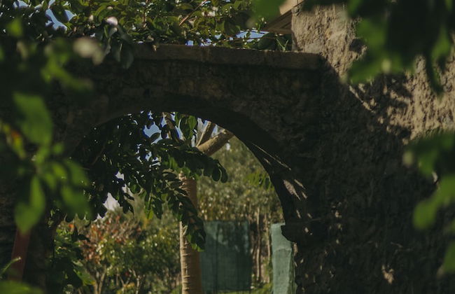 Moinho das Feteiras - Foto 53