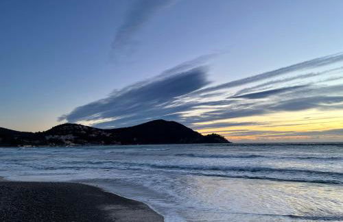 "Les Palmiers" Studio spacieux vue mer Terrasse & Parking - Foto 28