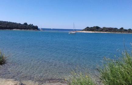 Apartments Martina - Foto 33